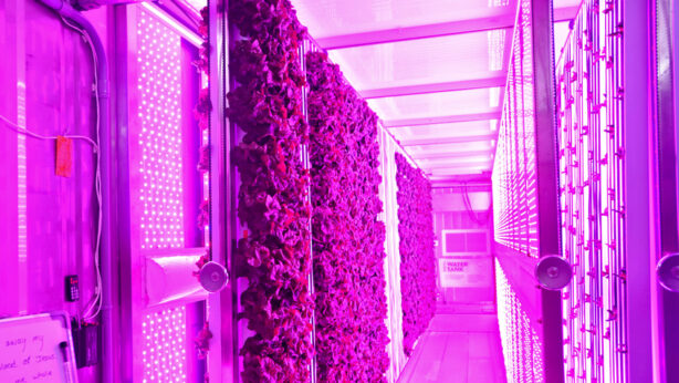 072621_FreightFarm_Gazette (6)